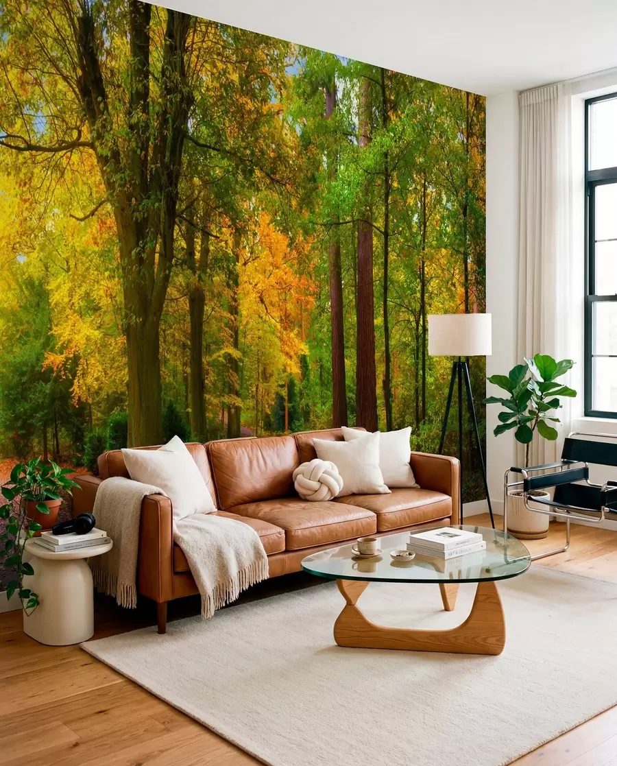 Fototapete Beginn des Herbstes u08547