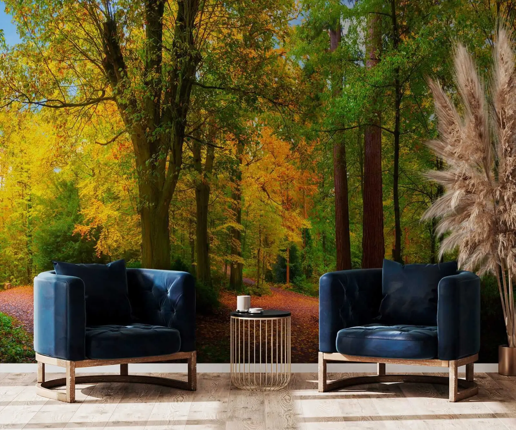 Fototapete Beginn des Herbstes u08547