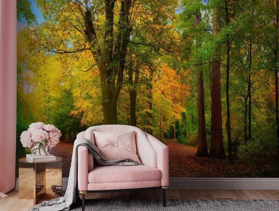 Fototapete Beginn des Herbstes u08547