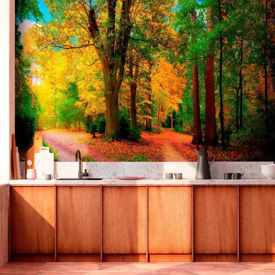 Fototapete Beginn des Herbstes u08547