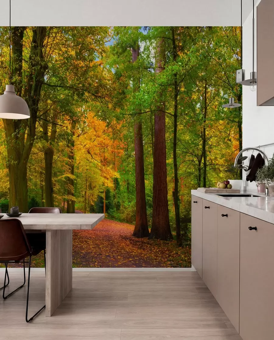 Fototapete Beginn des Herbstes u08547