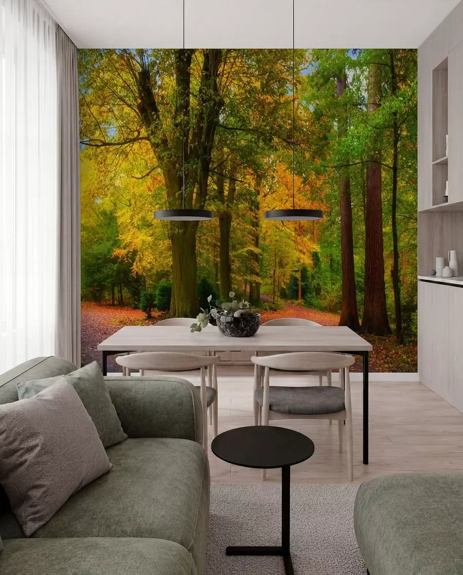 Fototapete Beginn des Herbstes u08547