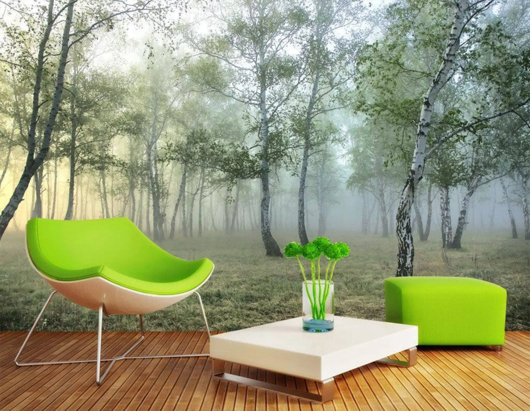 Fototapete Nebel-Birkenwald u25820