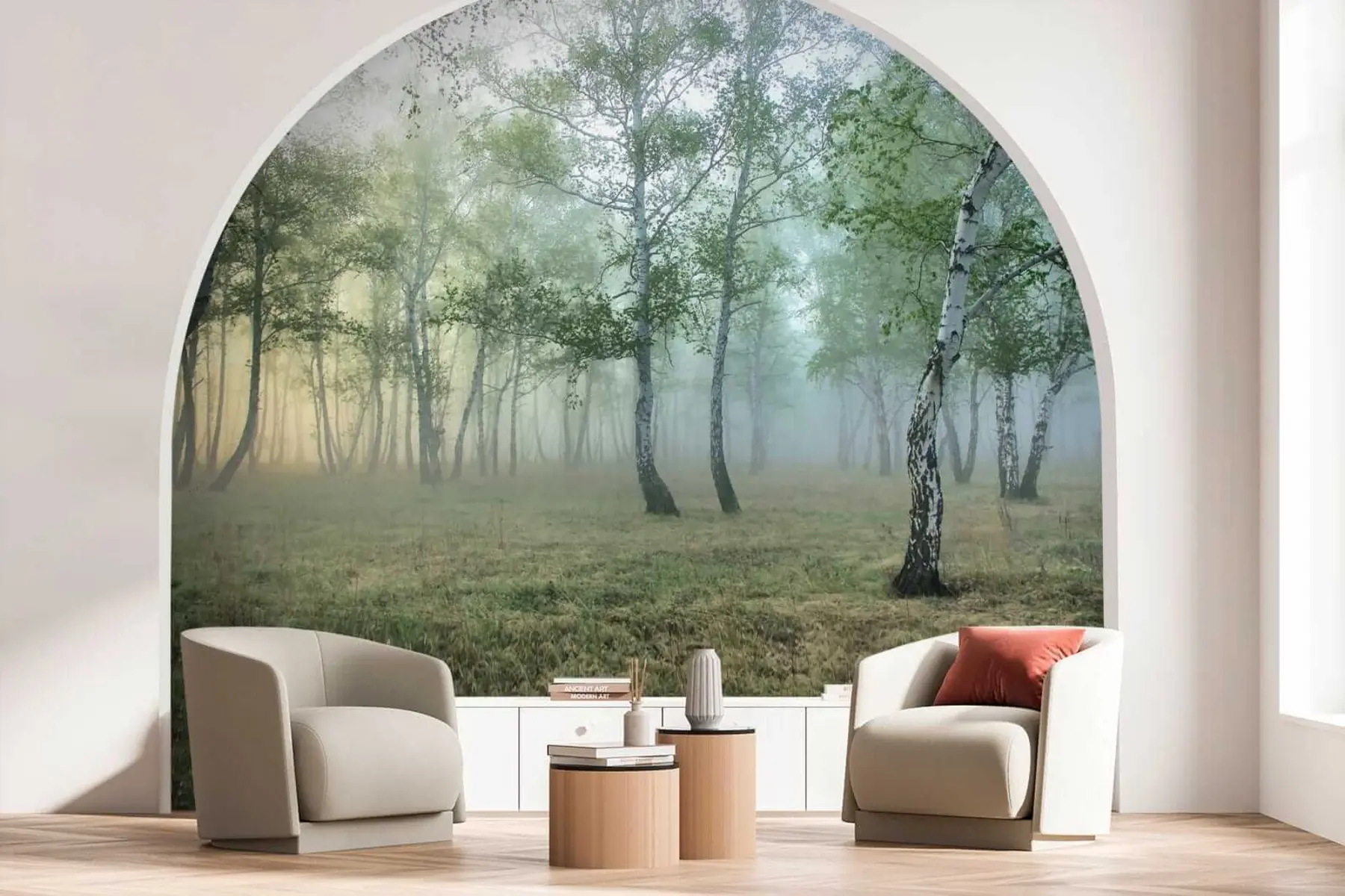 Fototapete Nebel-Birkenwald u25820