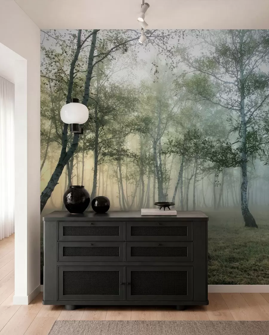 Fototapete Nebel-Birkenwald u25820