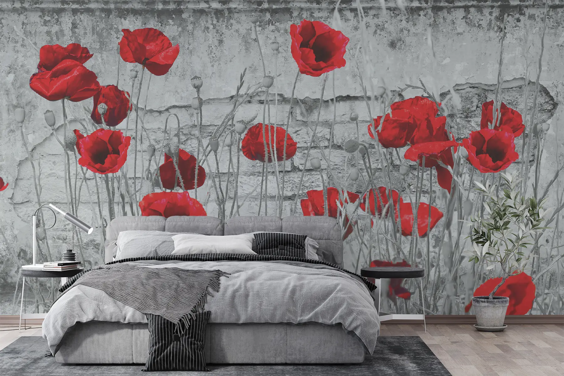Fototapete Blume, Farbigkeit und Pflanze u40552
