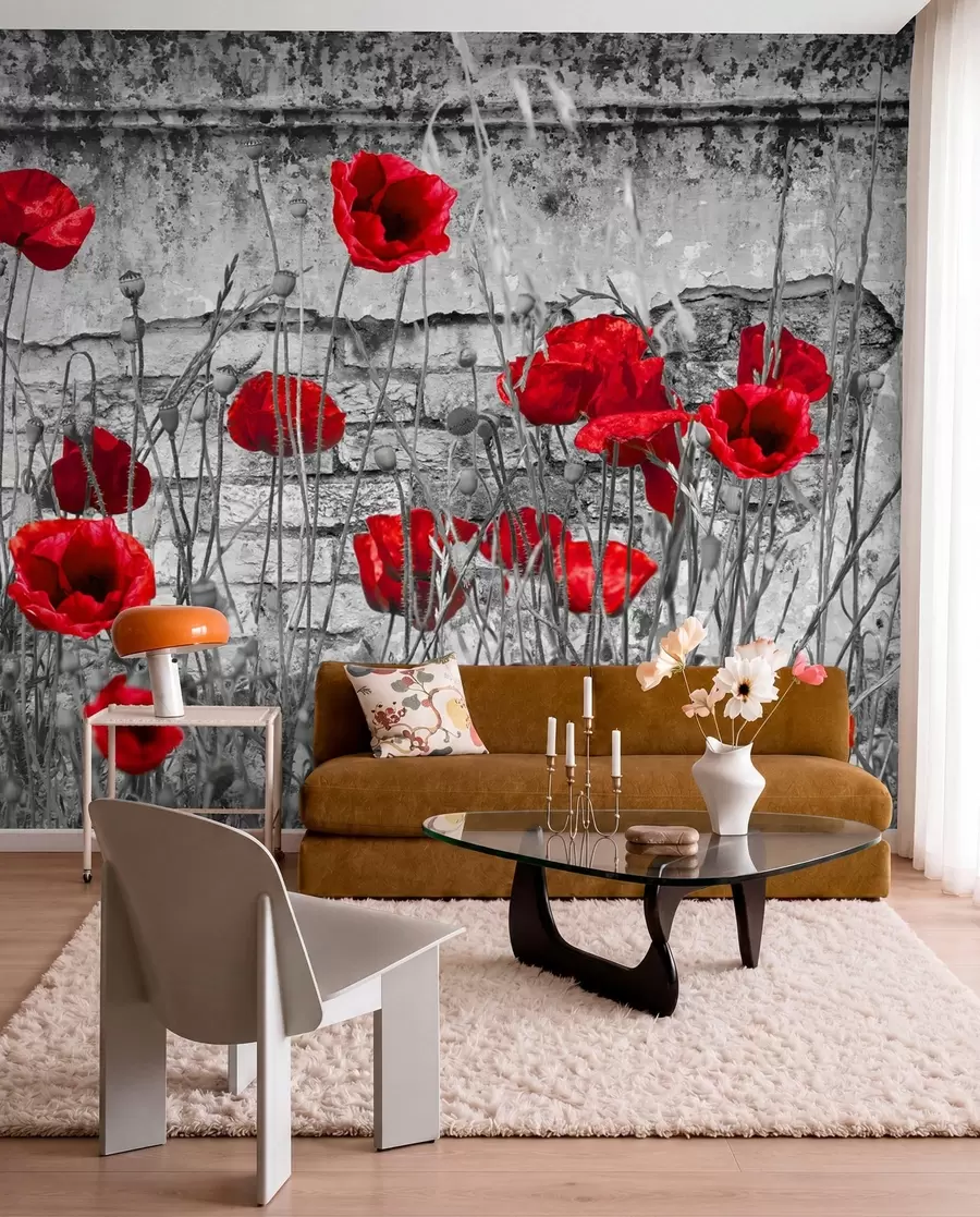 Fototapete Blume, Farbigkeit und Pflanze u40552
