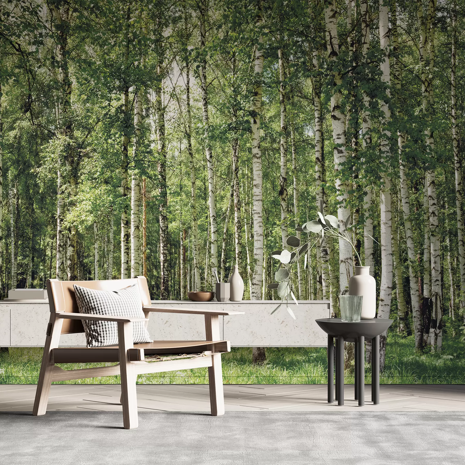 Fototapete Birkenwald u52530