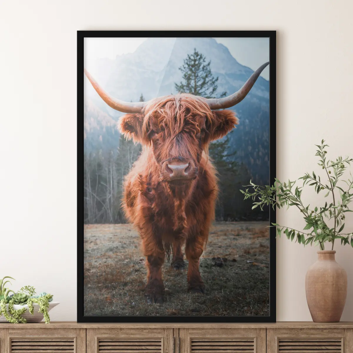 Poster Majestätische Hochlandkuh in der Natur f37629