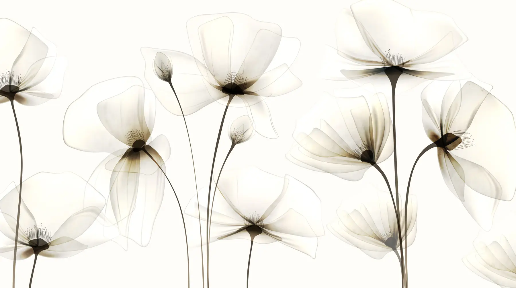 Fototapete Transparente Aquarellblumen w00143