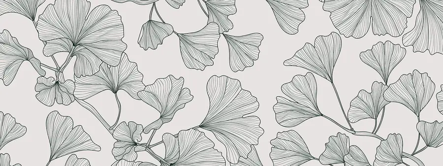 Fototapete Lilie, Ginkgo, grauer Hintergrund w00328v2