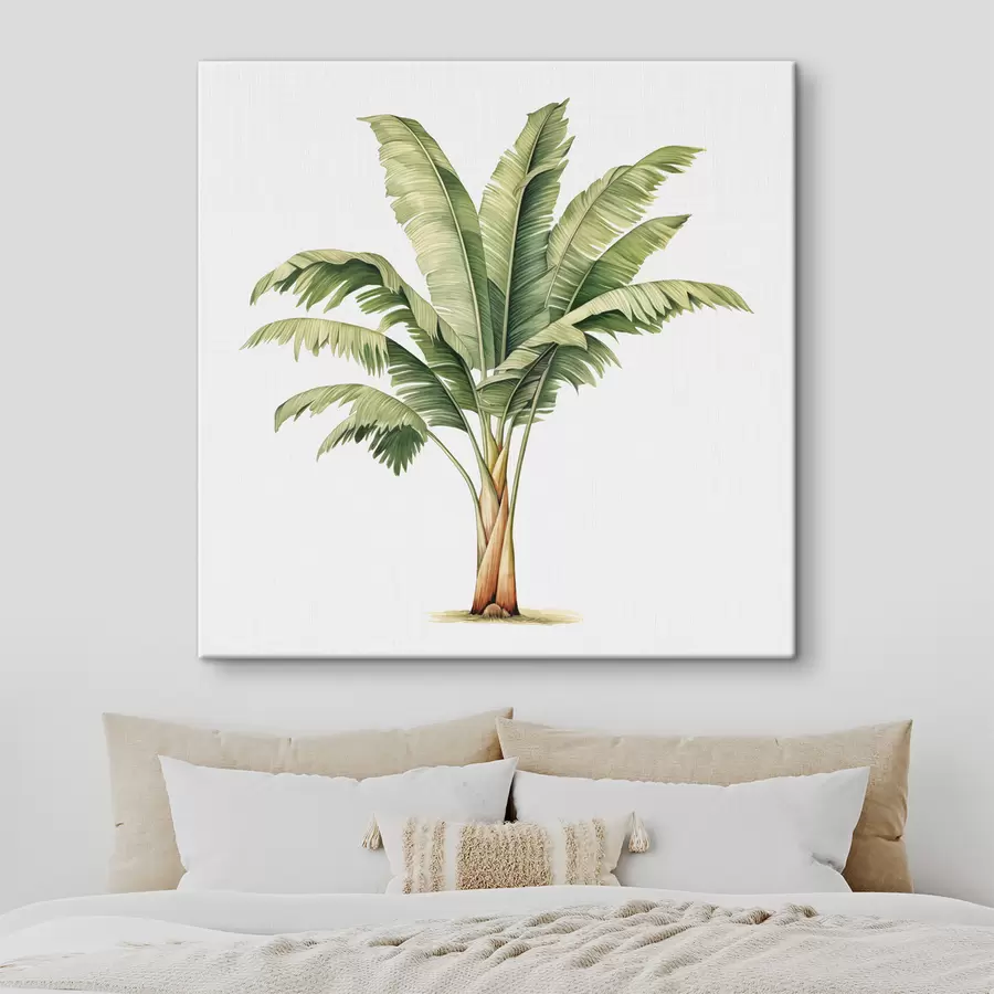 Wandbilder Bananenpalme Aquarell minimalistische Illustration s39562