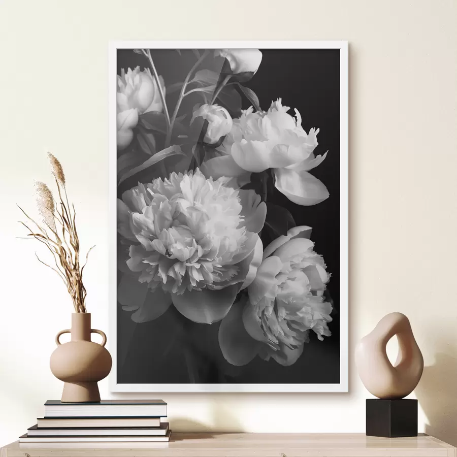 Wandbilder Schwarze und weiße Pfingstrosen f39547