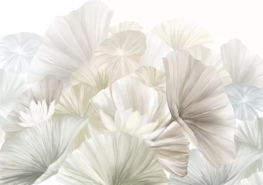 Fototapete Zarte grüne Lotusblätter mit weißen Blüten mit weichen, federleichten Blütenblättern in einer natürlichen Kunstkomposition angeordnet w08265