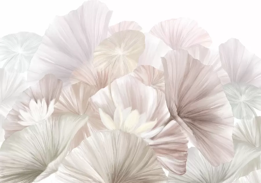 Fototapete Zarte rosa Lotusblätter mit weißen Blüten mit weichen, federleichten Blütenblättern in einer natürlichen Kunstkomposition angeordnet w08265v1