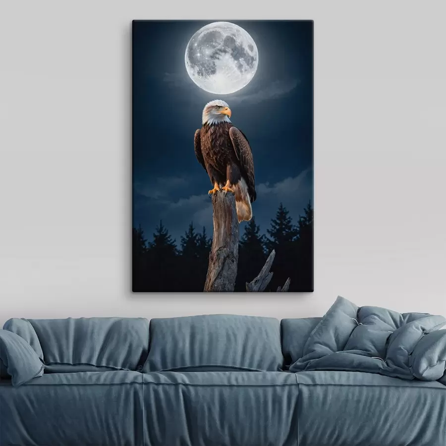 Wandbilder Adler auf Mondhintergrund s41043