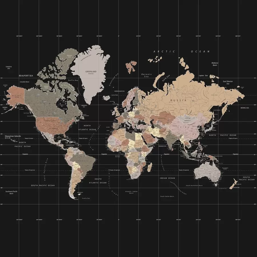Fototapete Weltkarte mit Umrissen verschiedener Länder u99477d1