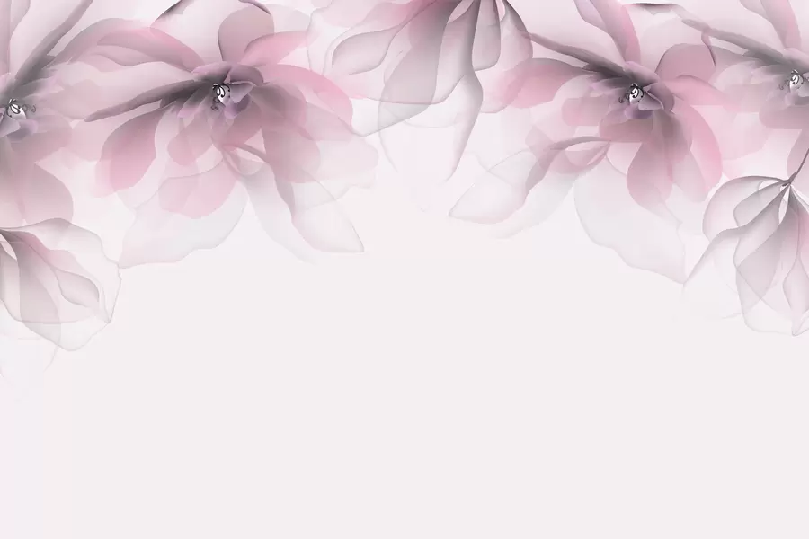 Fototapete rosa durchscheinende große Blüten oben w02093