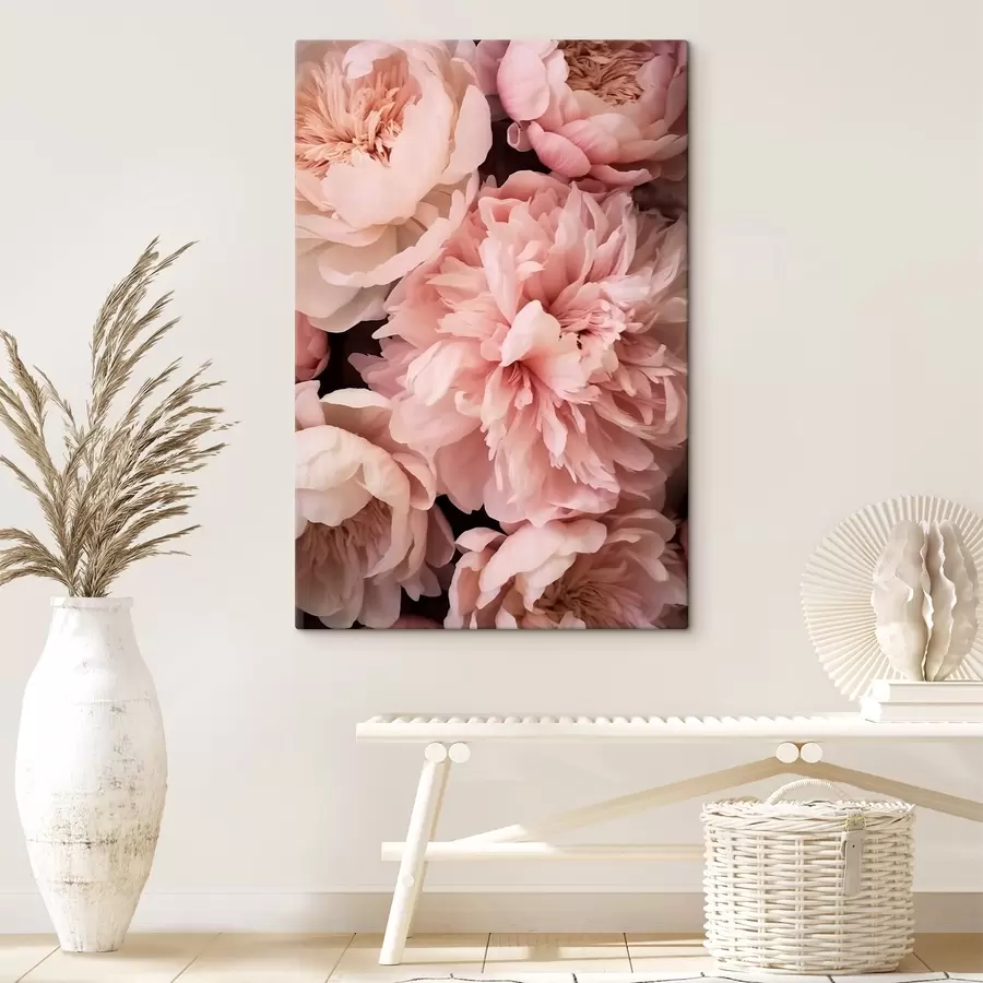 Wandbilder Zartrosa Pfingstrosen s41489