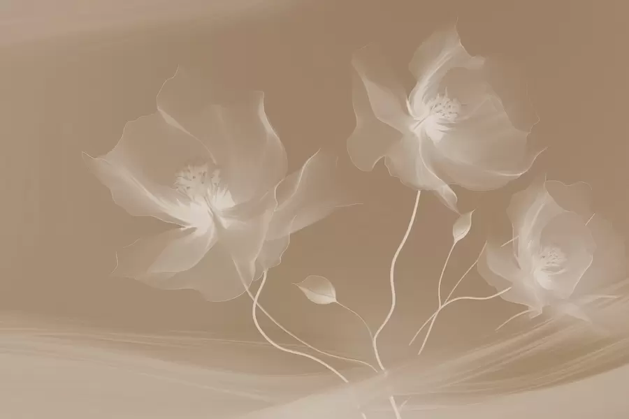Fototapete Drei anmutige Blumen mit durchscheinenden Blütenblättern, verflochten mit Bändern aus Licht und Wind in Sepia w01932v1