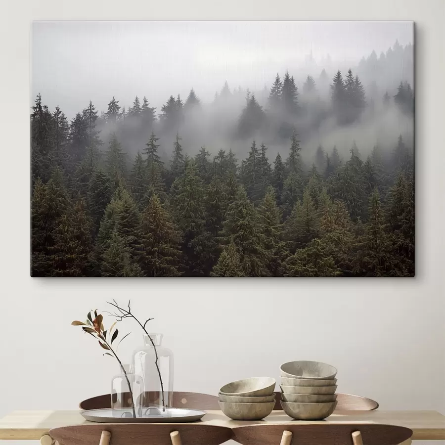 Wandbilder Wald im Nebel s41839