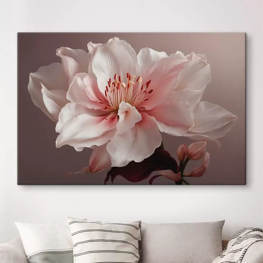 Wandbilder Rosa Blume auf rosa Hintergrund s41506