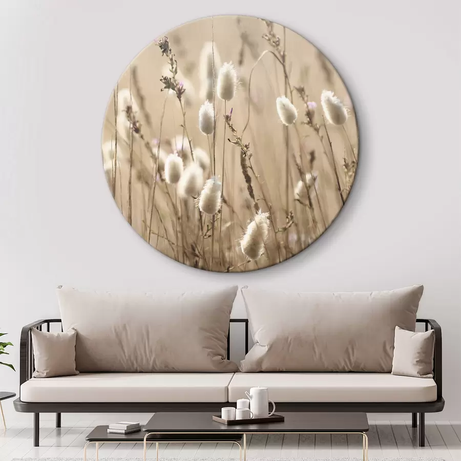 Wandbilder Flauschige Gräser auf einer sonnenbeschienenen Wiese r35256