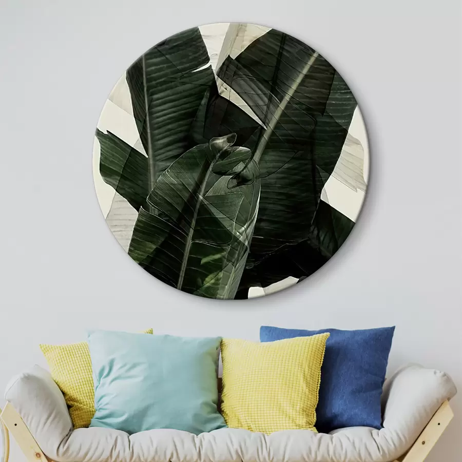 Wandbilder Pflanze, terrestrische Pflanze und Bananenblatt r21747