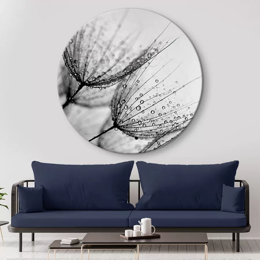 Wandbilder Pflanze, Zweig und Linie r20828