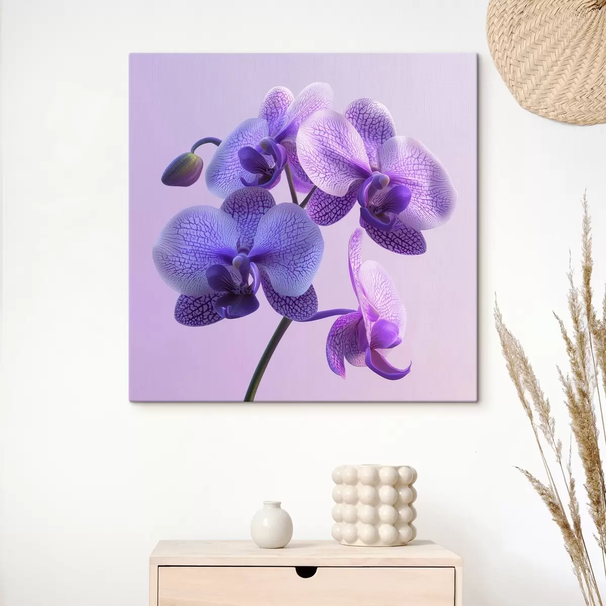 Wandbilder Eine violette Orchidee s41978