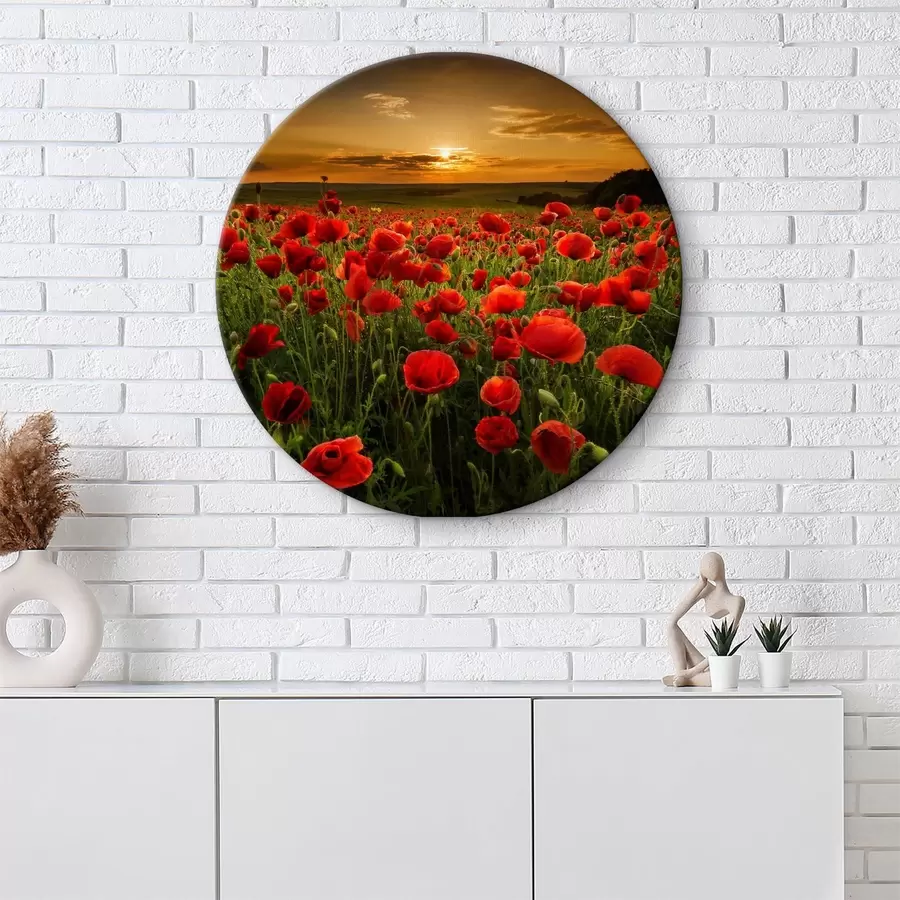 Wandbilder Blume, Himmel und Pflanze r05477