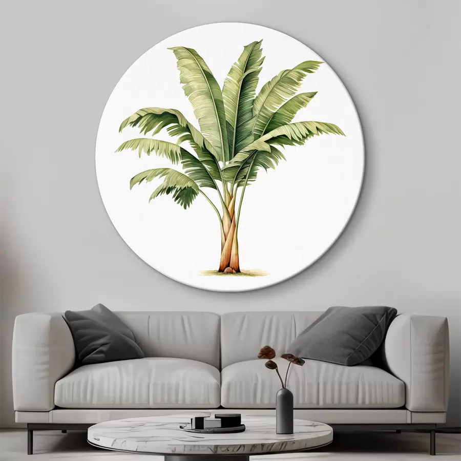 Wandbilder Bananenpalme Aquarell minimalistische Illustration r39562