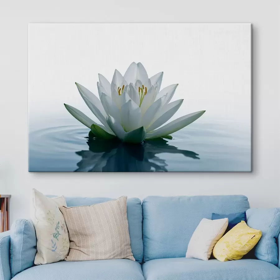 Wandbilder Auf dem Wasser schwimmende Lilie s42098