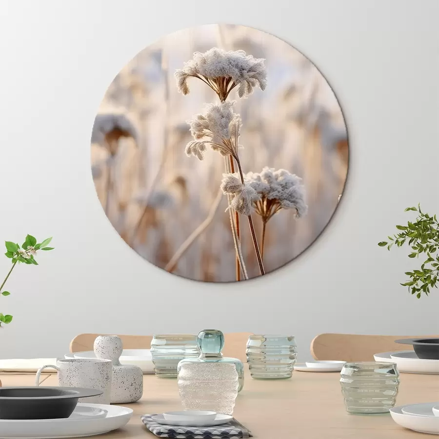 Wandbilder Trockenes Gras mit Frost bedeckt r41283