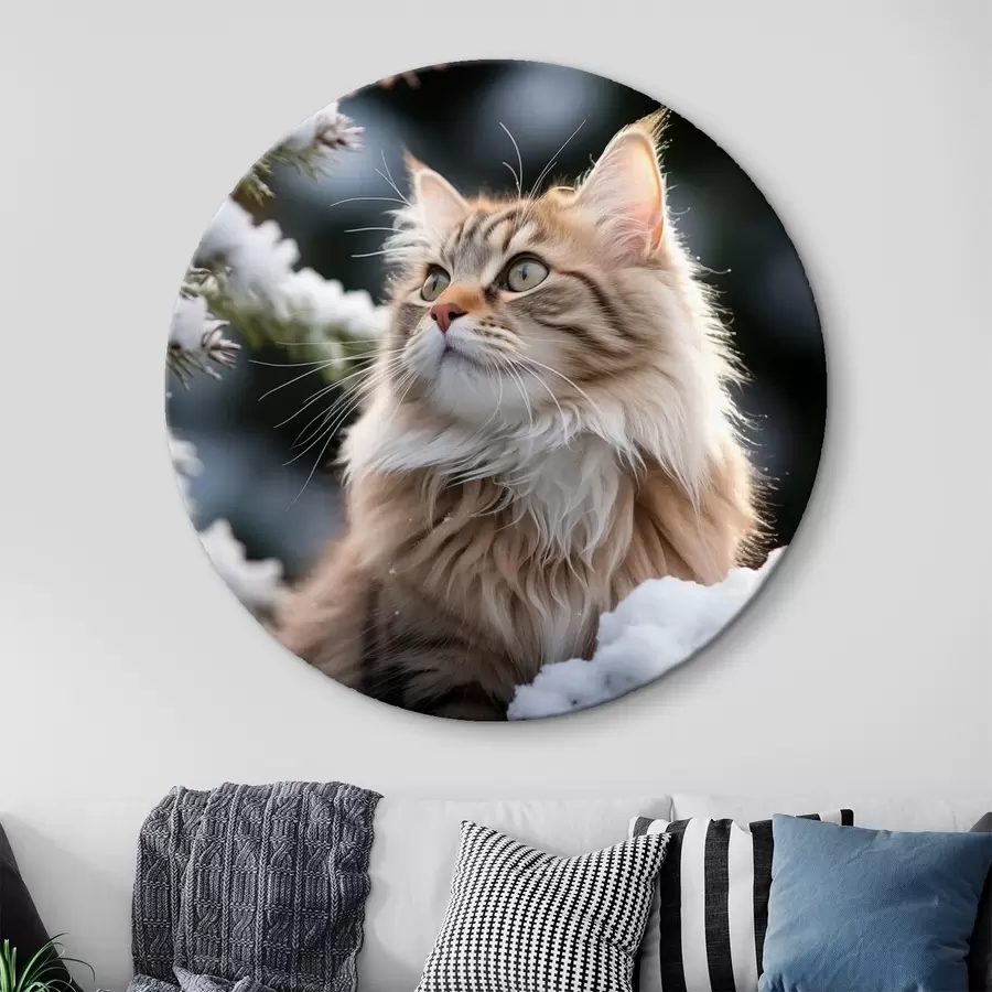 Wandbilder Eine flauschige rothaarige Katze sitzt in der Nähe des Schnees auf einem dunklen Hintergrund r41435