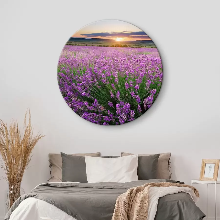Wandbilder Blume, Himmel und Pflanze r05497