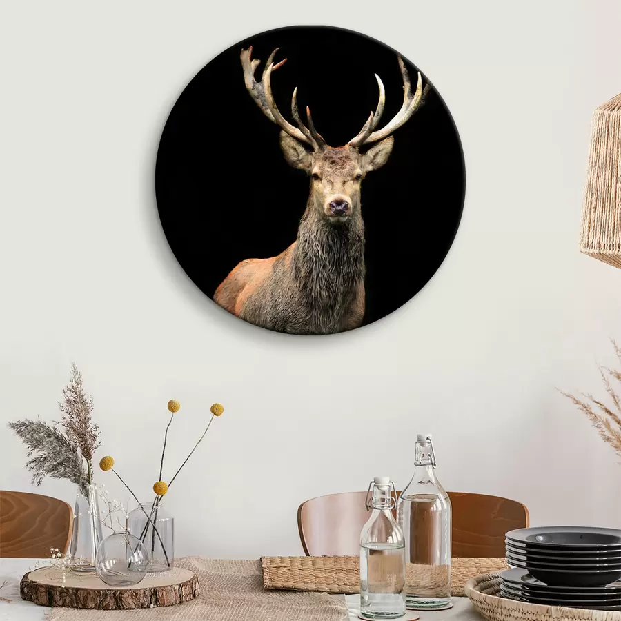 Fototapete Elche, Organismen und Hirsche r08154