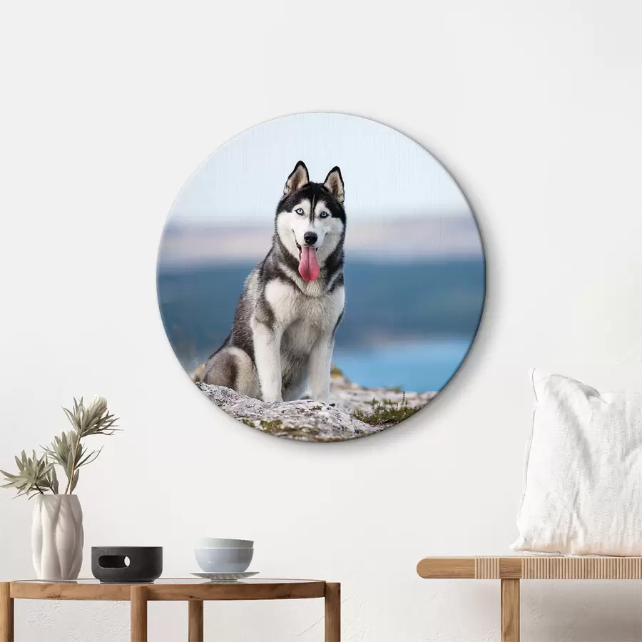 Wandbilder Himmel, Wasser und Hund r15711