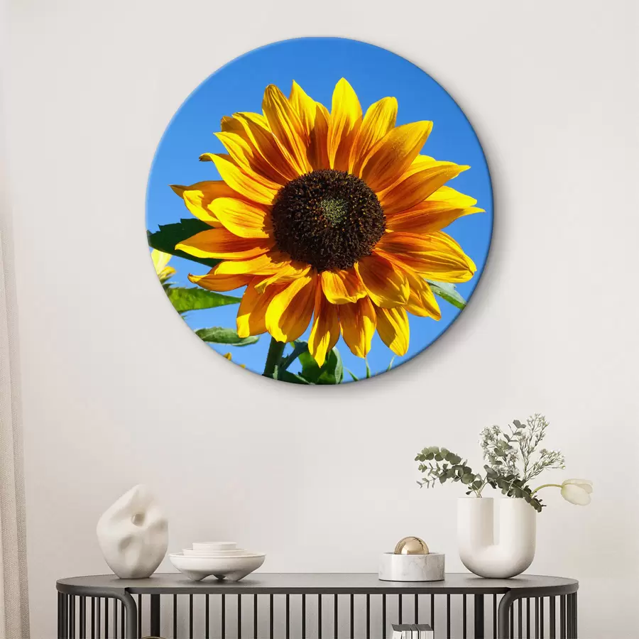 Wandbilder Blume, Pflanze und Himmel r27692