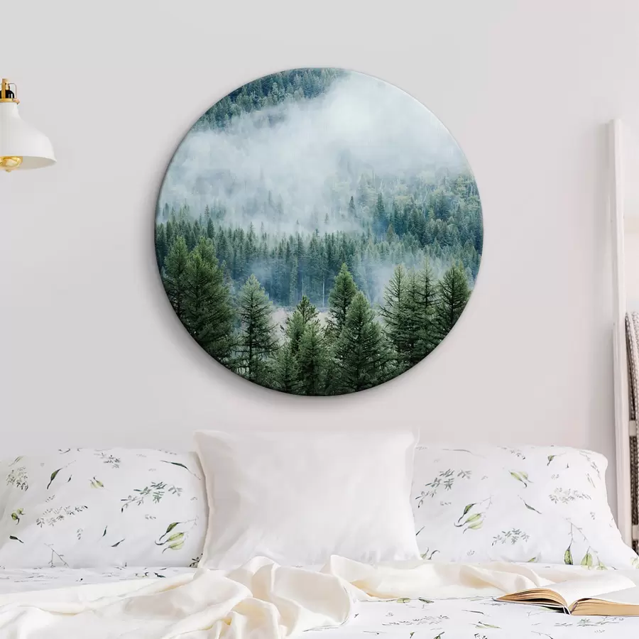 Wandbilder Nadelwald im Nebel r34825