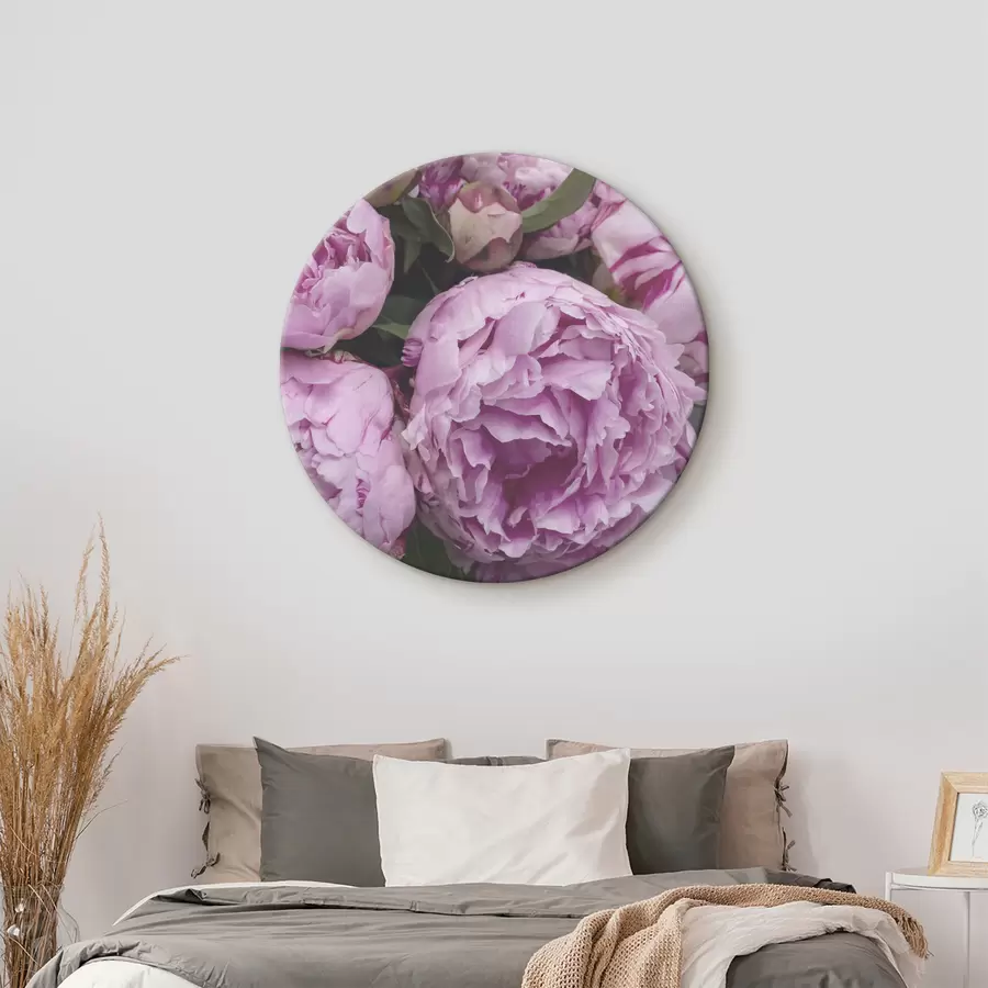 Wandbilder lila Pfingstrosen r35250