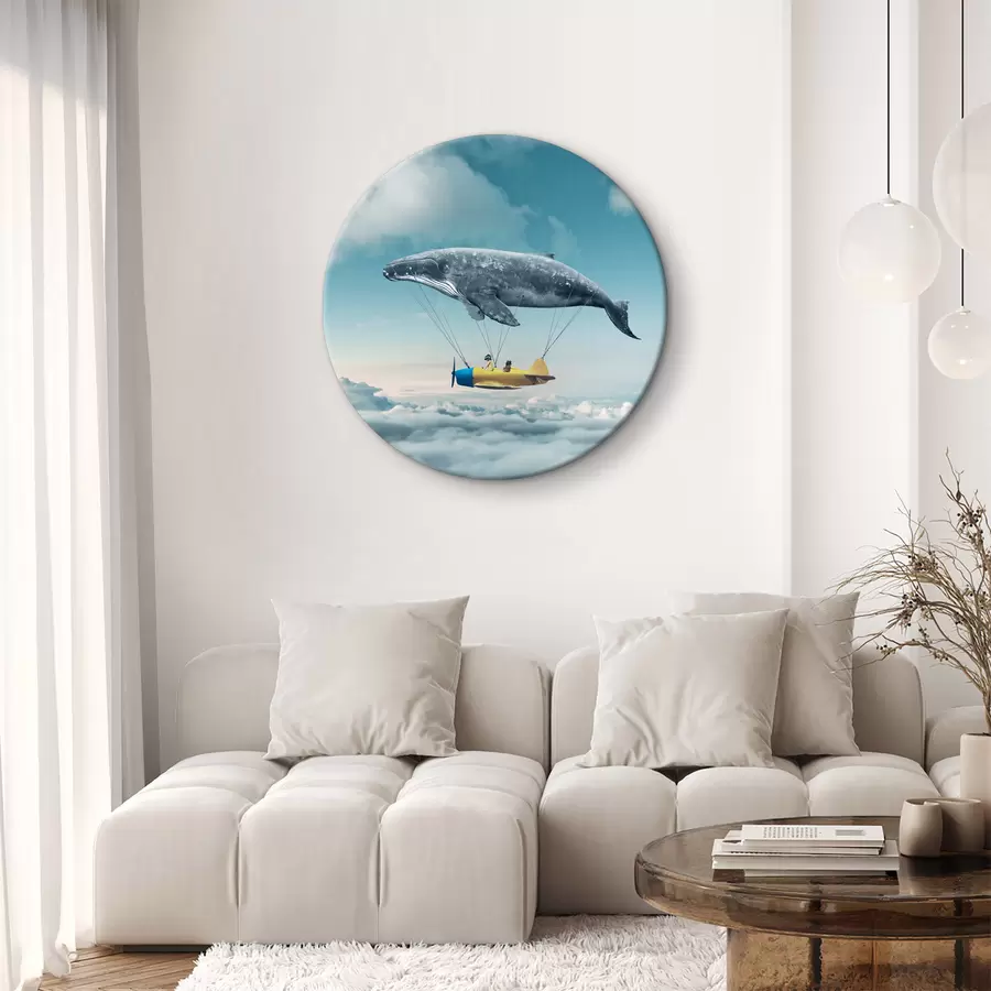Wandbilder Ein Wal und ein an einem kleinen Flugzeug befestigter Wal r36701