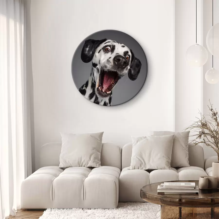 Wandbilder Ein aufgeregter Welpe ist bereit für Spaß! r37752