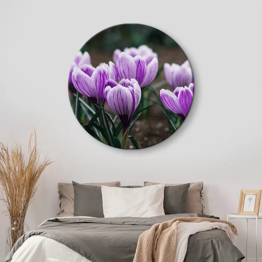 Wandbilder Hell blühend r37761