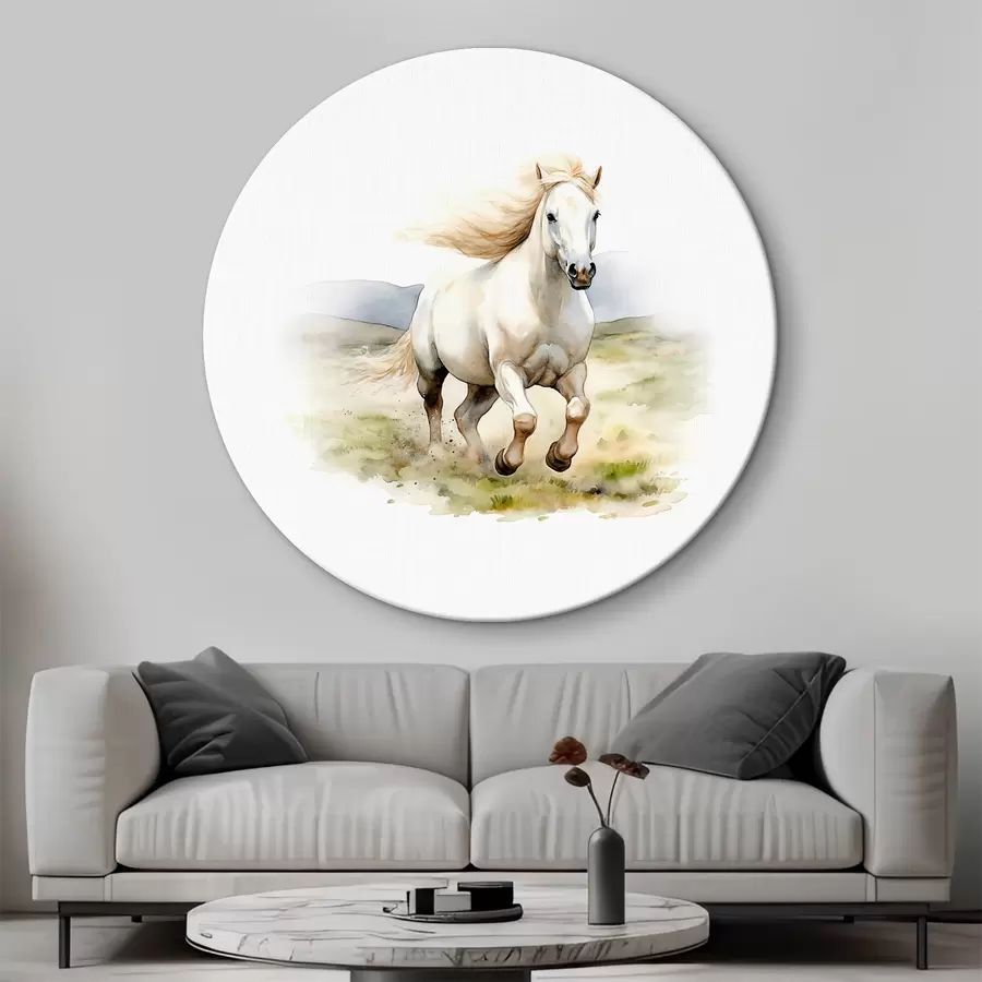 Wandbilder Weißes Pferd läuft auf dem Feld r38477
