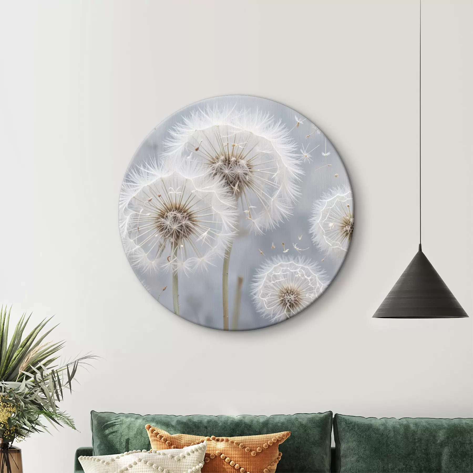 Wandbilder Weiße Löwenzahnblüten mit flauschigen Samen auf einem unscharfen grauen Hintergrund r40556