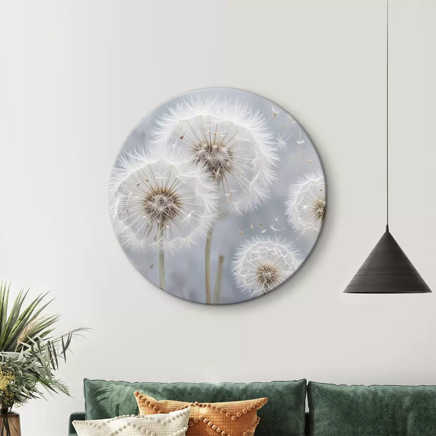 Wandbilder Weiße Löwenzahnblüten mit flauschigen Samen auf einem unscharfen grauen Hintergrund r40556