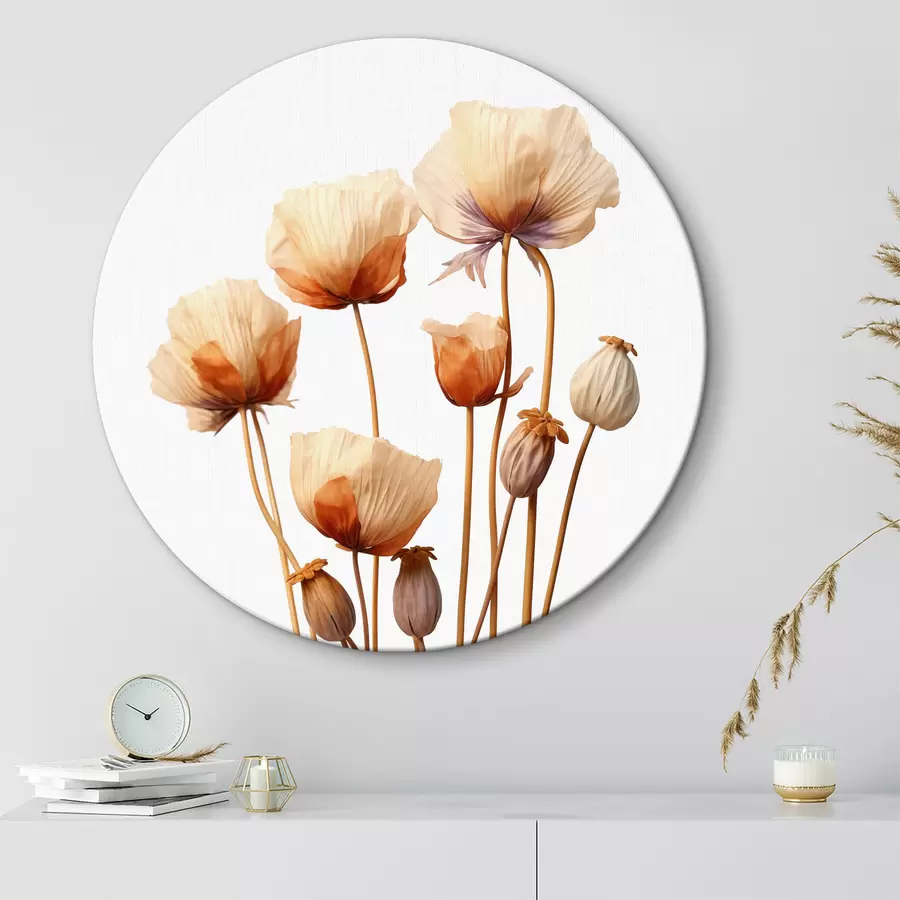 Wandbilder Mohnblumen auf getrockneten Stängeln Minimalismus r40883