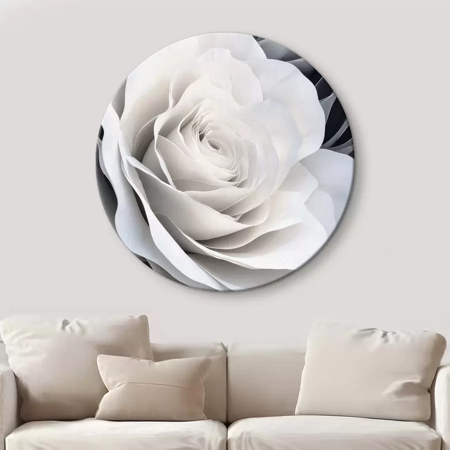 Wandbilder Weiße Rose r42187