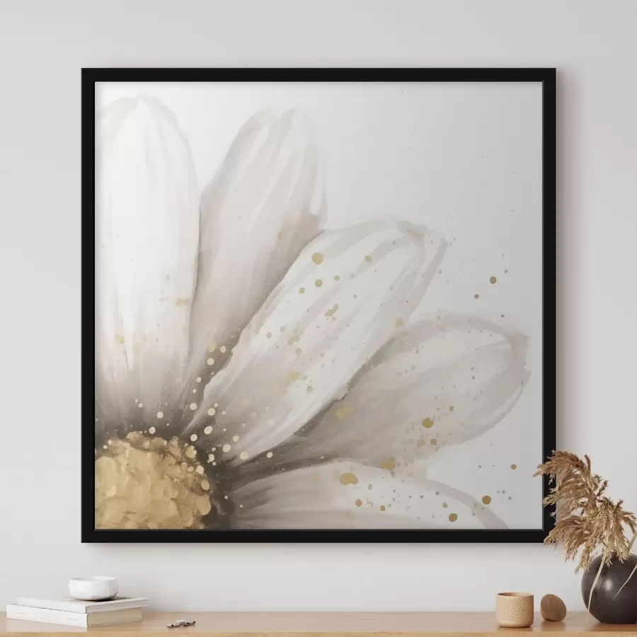 Fototapete Gänseblümchen f42634